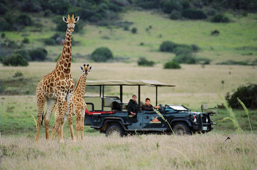 Amakhala Safari Lodge Paterson Exteriör bild
