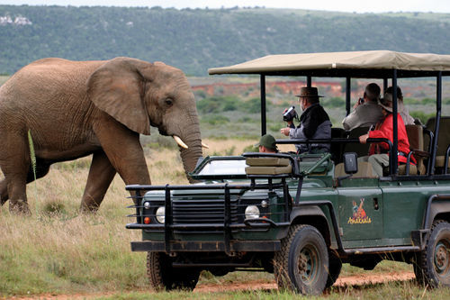 Amakhala Safari Lodge Paterson Exteriör bild