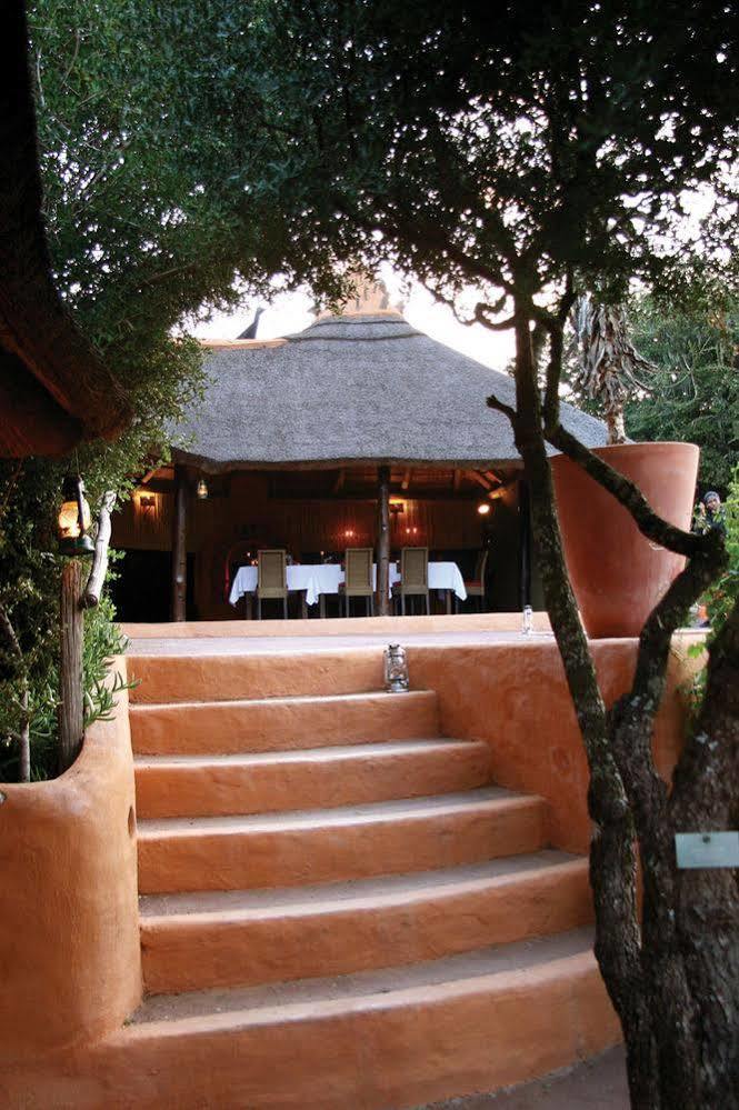 Amakhala Safari Lodge Paterson Exteriör bild
