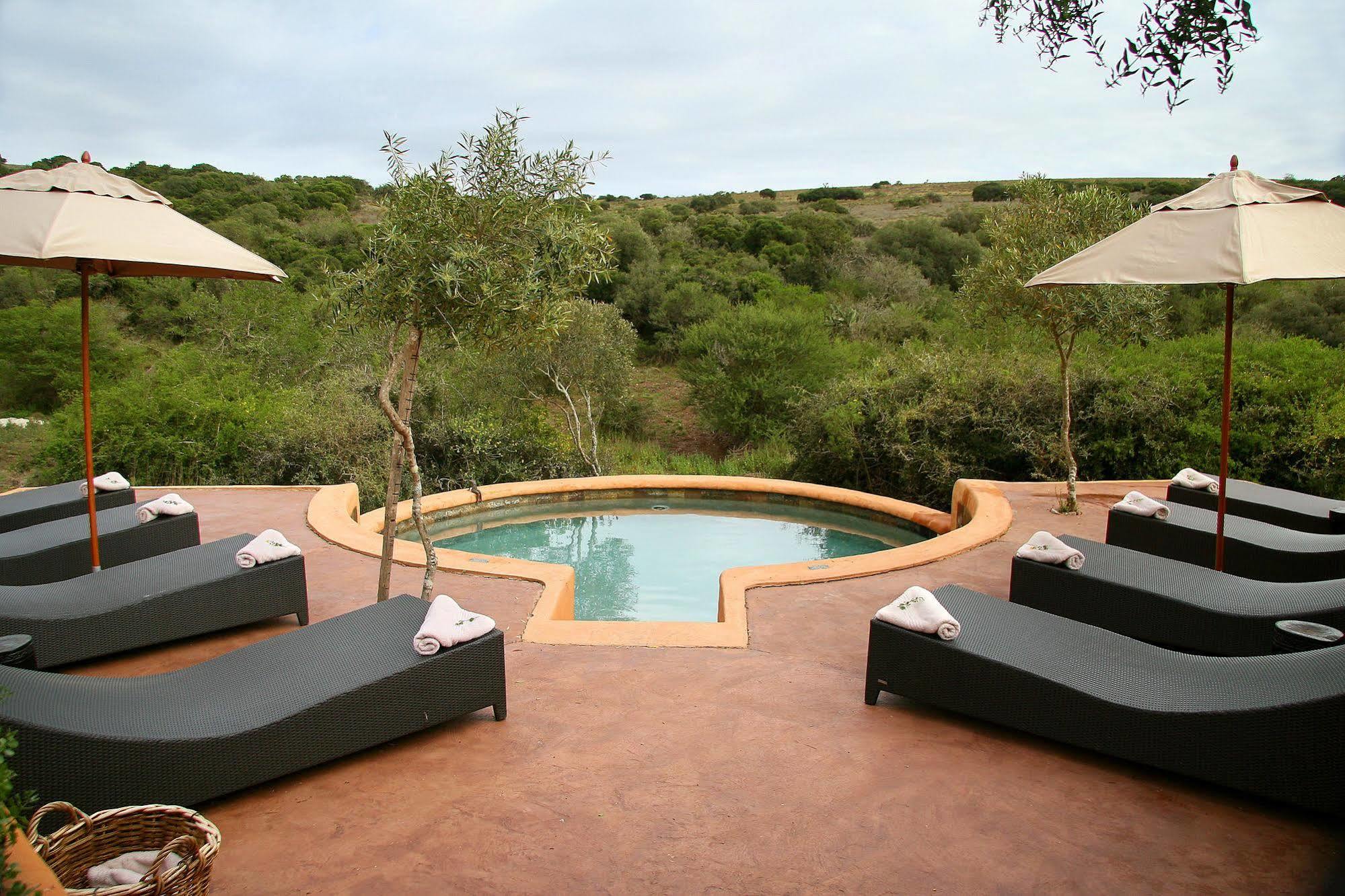 Amakhala Safari Lodge Paterson Exteriör bild